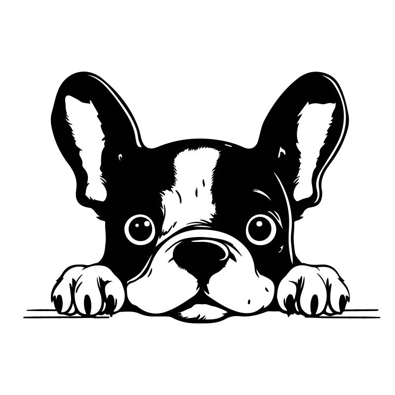 Bouledogue français
