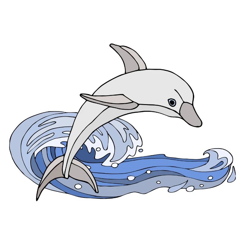 Dolphin
