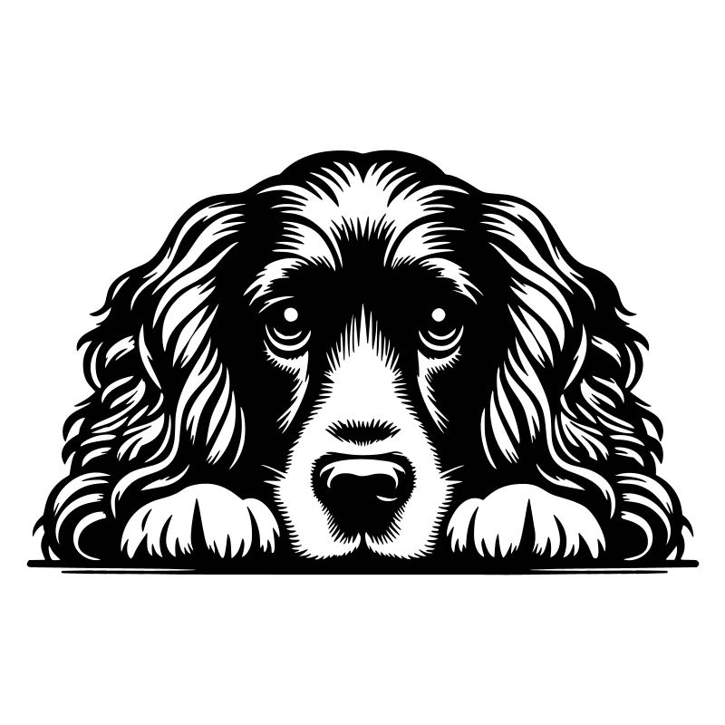 Tête de cocker avec pattes