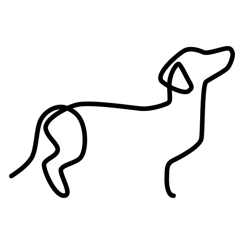 Dachshund
