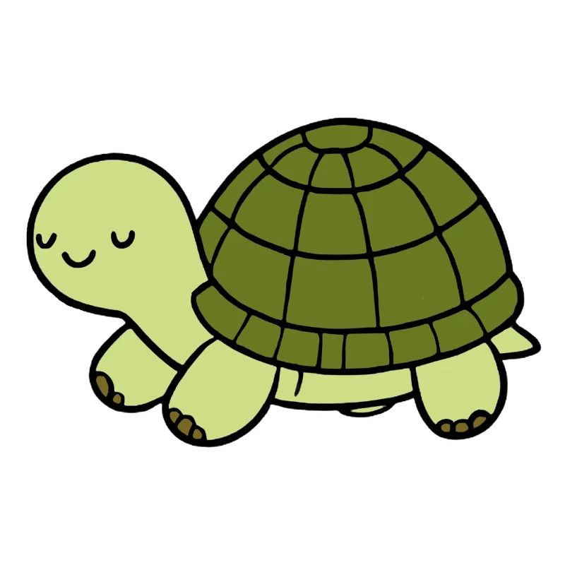 Turtle