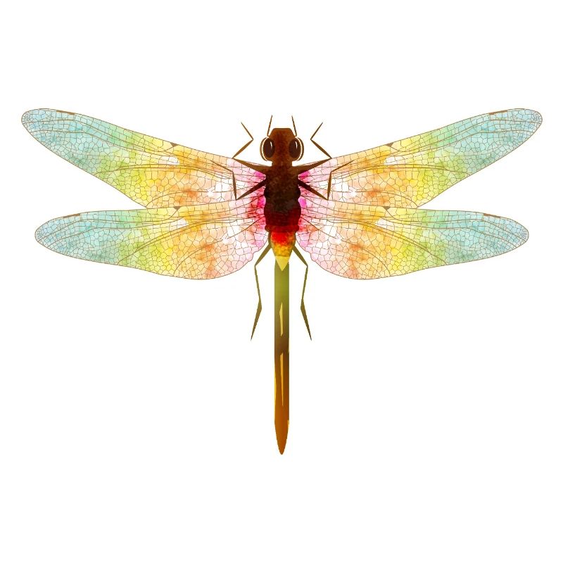 Libellule irisée – motif insecte en filigrane