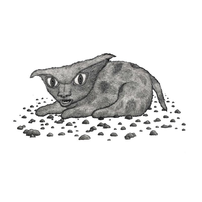Grim Cat