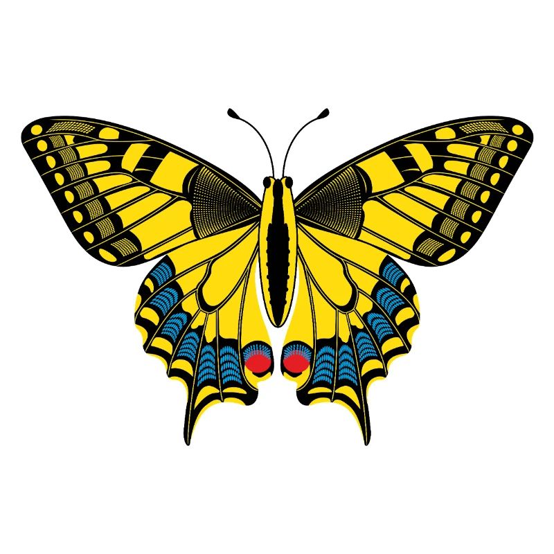 Schmetterling – Papillon