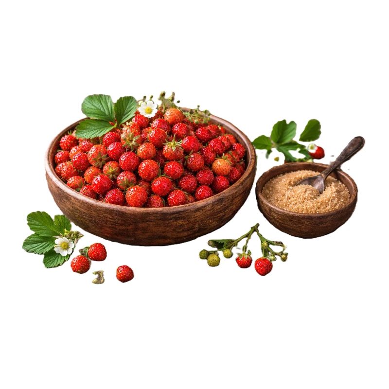 Erdbeeren Waldbeeren