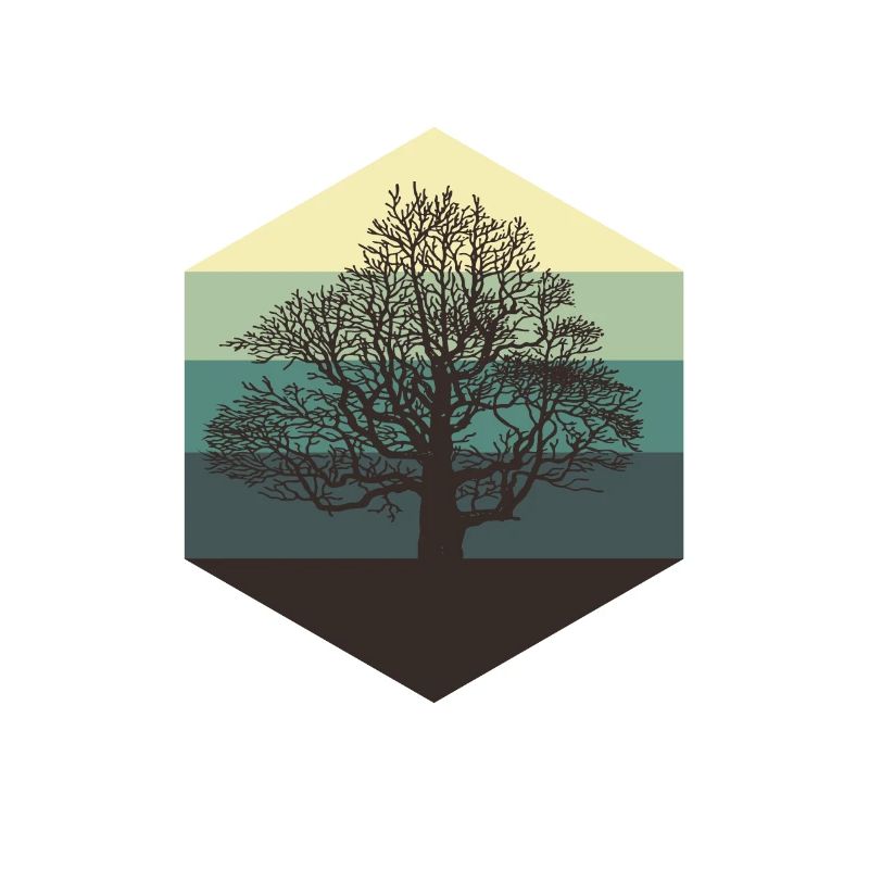 Baum