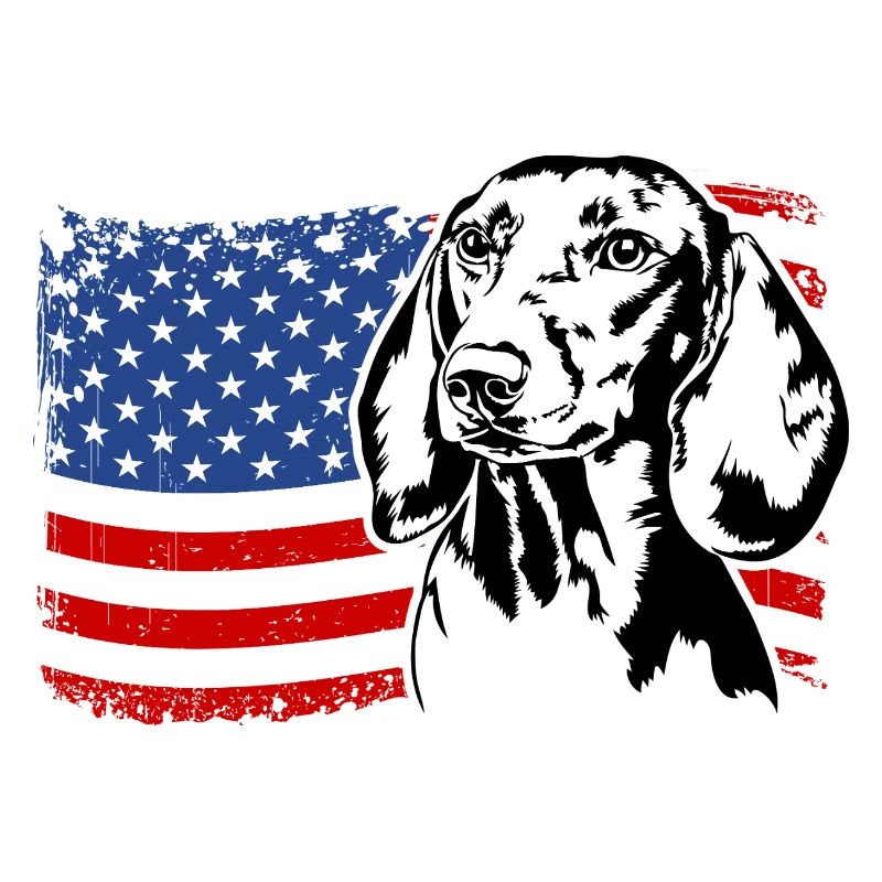 Teckel Teckel US Amérique Drapeau Chiens Wilsigns