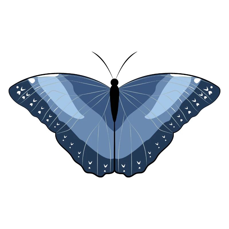 Flying Artwork - Butterfly