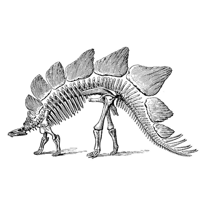 Dinosaurier