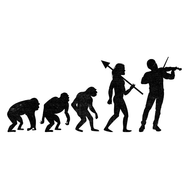 Evolution Violon Instrument Violoniste Viole de gambe