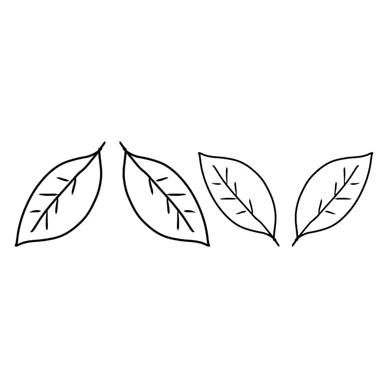 Four Leaves Leaf Symbol Shape Shape