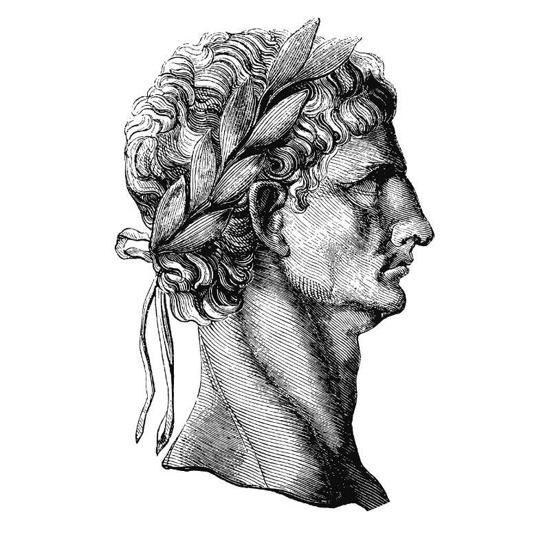 Julius Caesar - Black