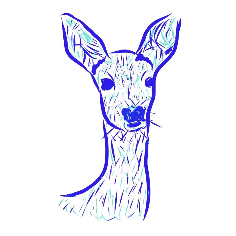 Roe deer