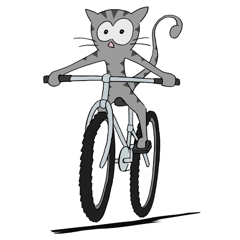 Kitten riding a bicycle. Cycle gift