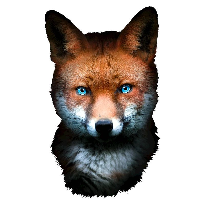 Fuchs Blaue Augen Geschenk Opa Waldtiere Rotfuchs