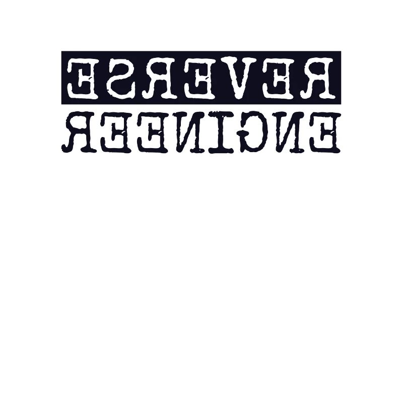 Reverse Engineer Software Engineer Developer