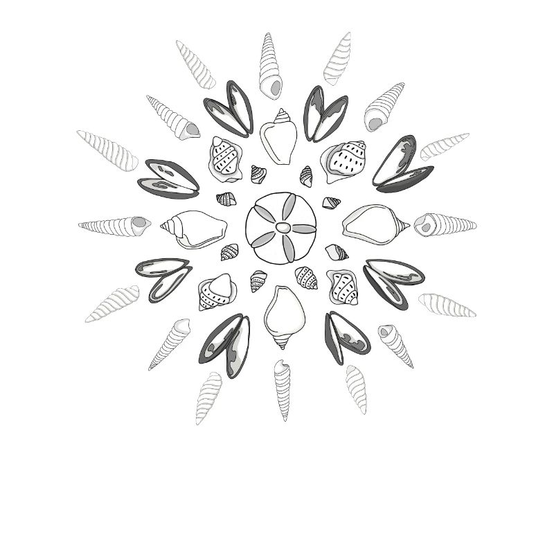 Bivalvia Shell Shelling Bag Hunter Seashell