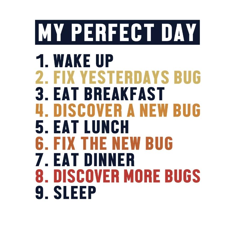 Correction de bugs Perfect Day Développeur Codeur Programmeur