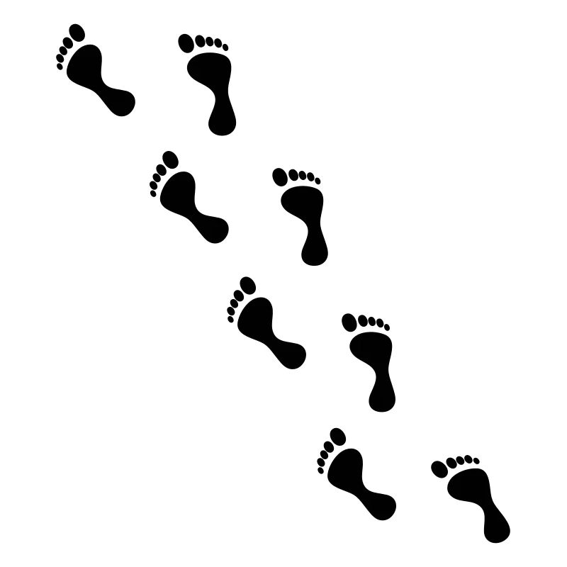 feet