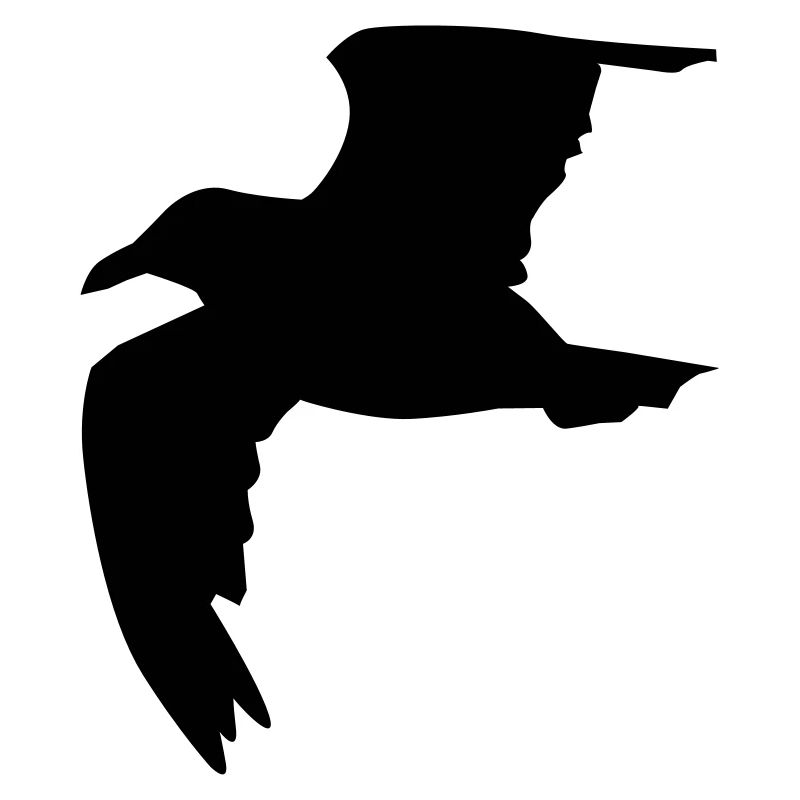 Möwe