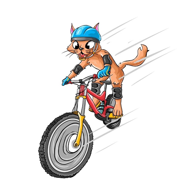 Fahrrad Katze