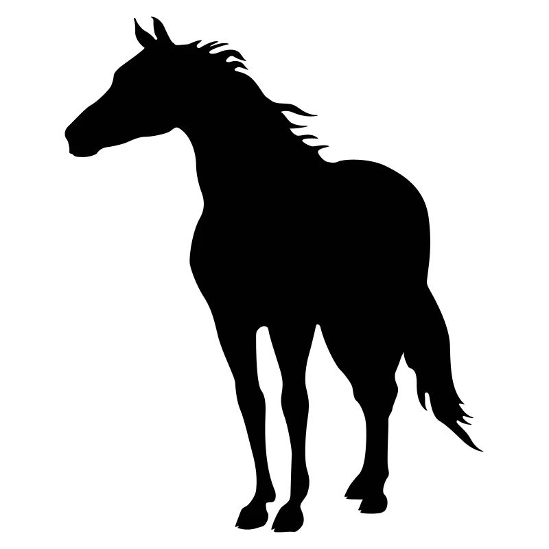 Pferde