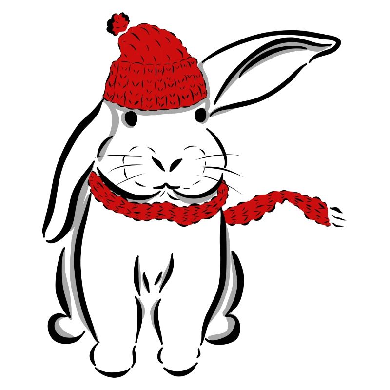 Rabbit Bunny Hat scarf ear Hare