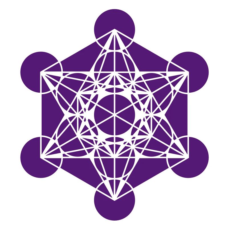 Metatrons Cube - Vector - Platonic Solids /