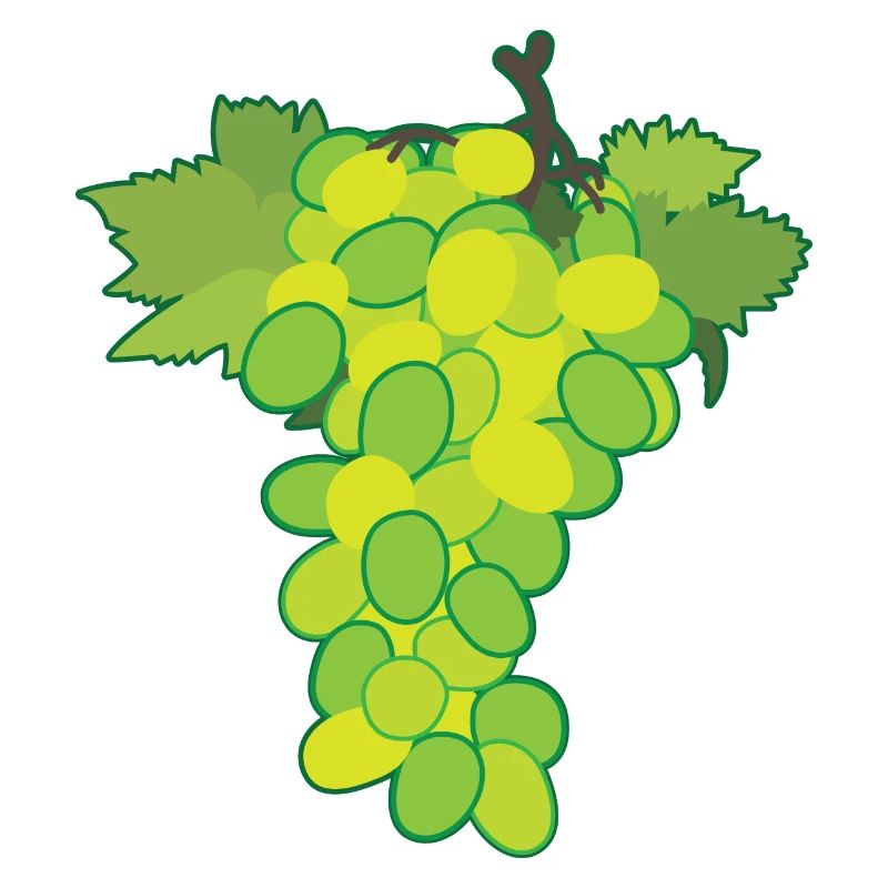 White grape