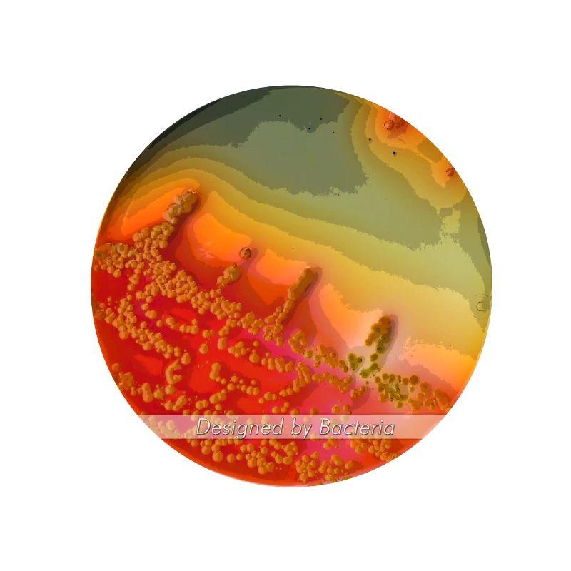 DESIGNED BY BACTERIA Edition 3