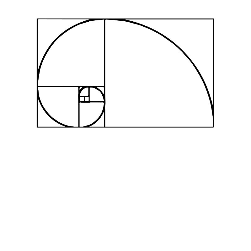 Fibonacci Tshirt