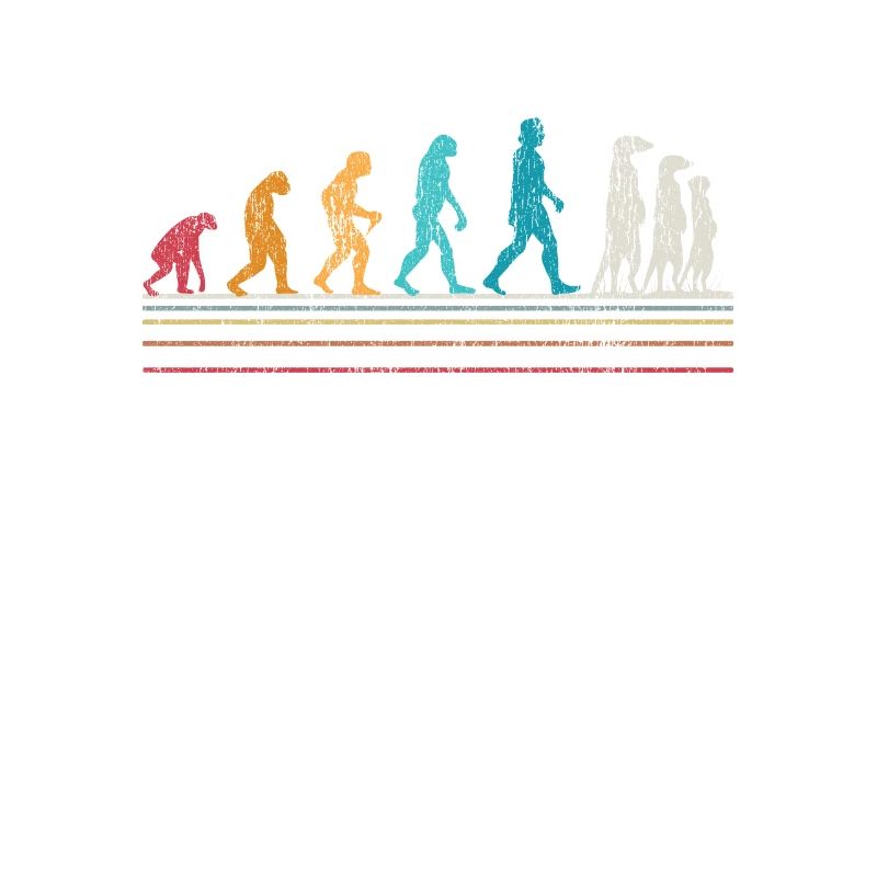 Erdmännchen Evolution Erdmännchen