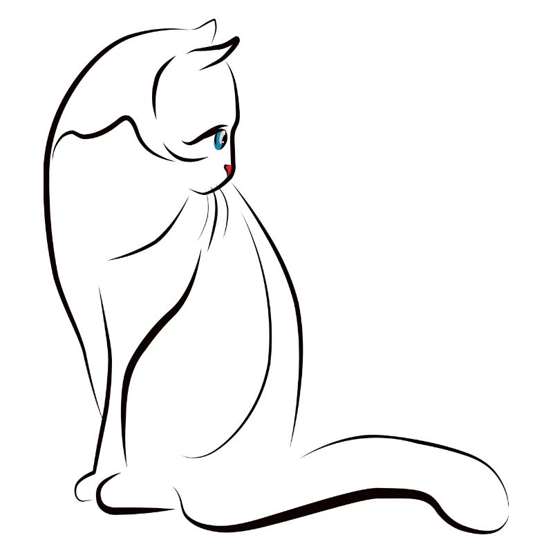 Katze Katzen