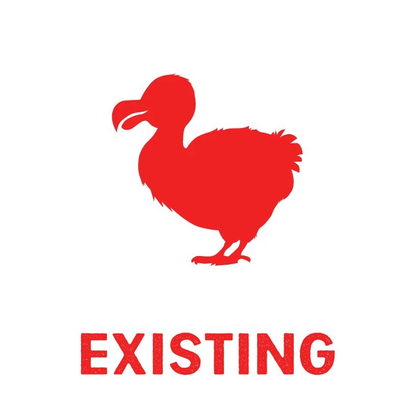 dodo