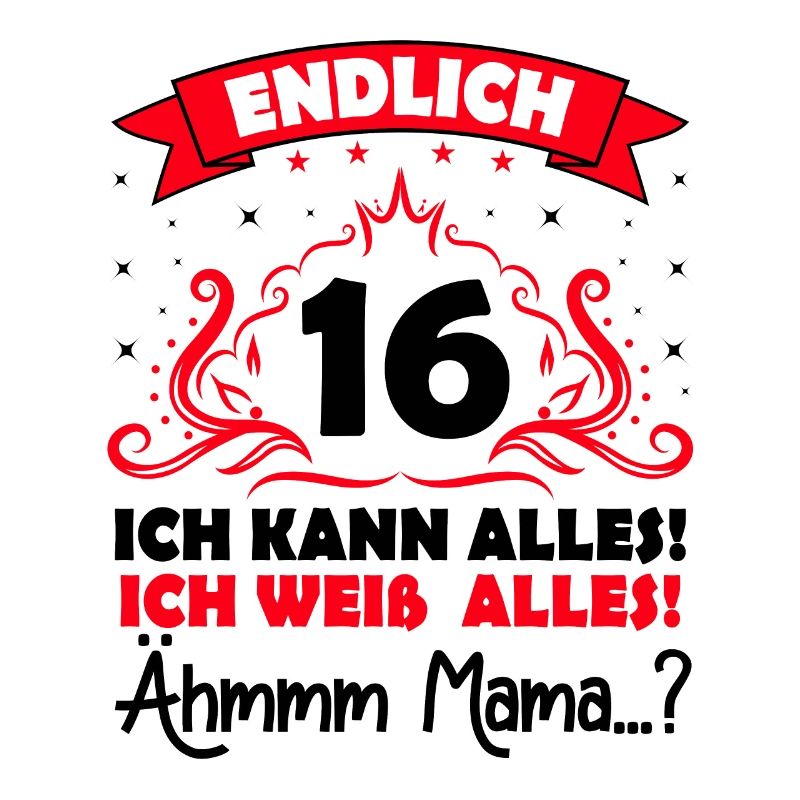 16 Geburtstag Mädchen Junge Fun Geschenk lustig