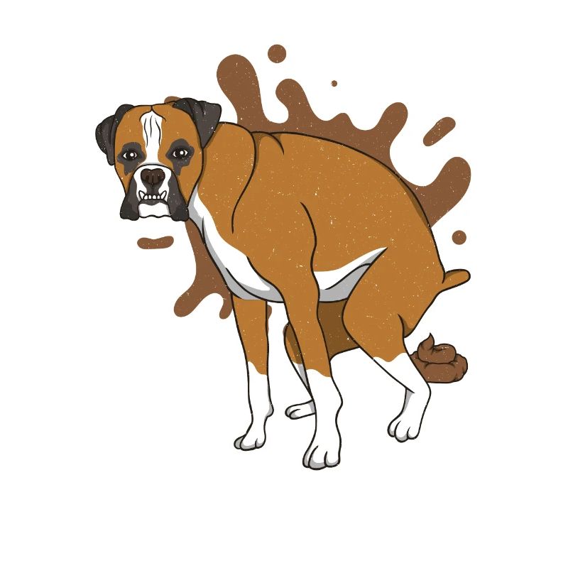 German boxer poops poop pile