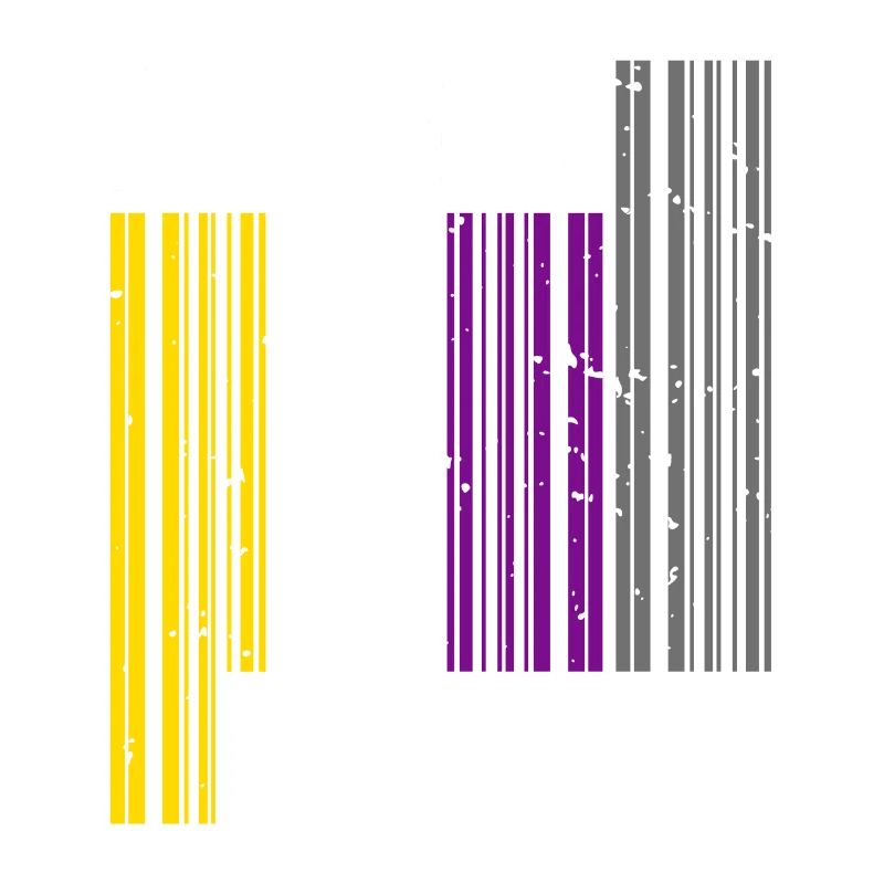 Nonbinary I LGBT Pride I Flag Barcode I Assume