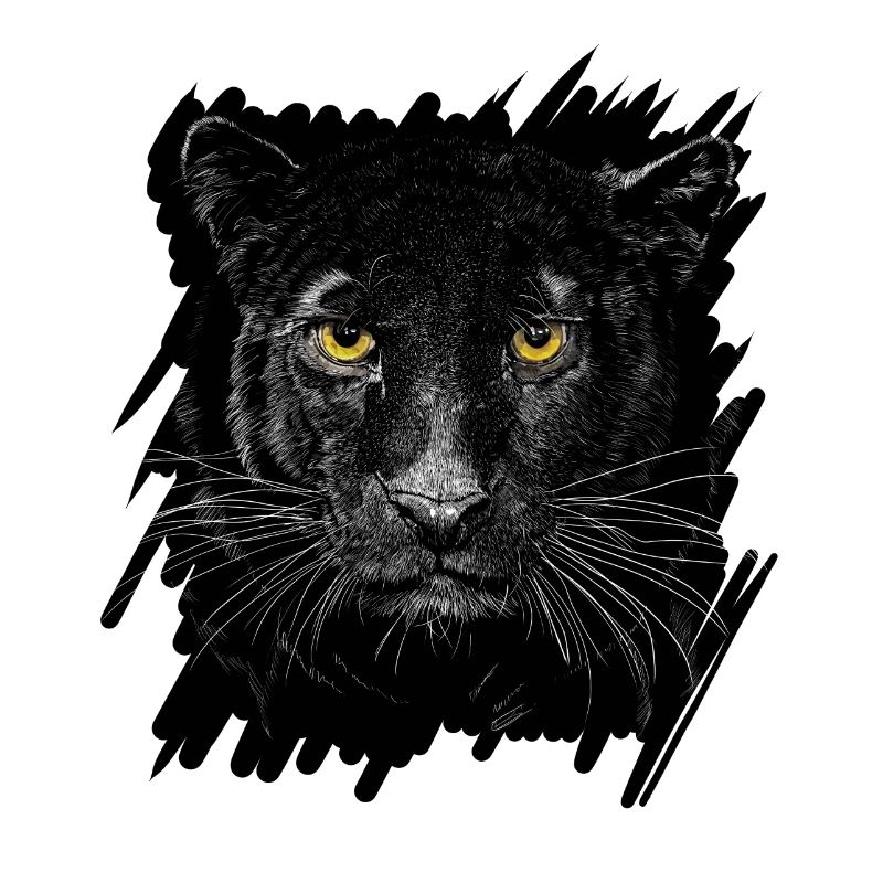 Schwarzer Panther