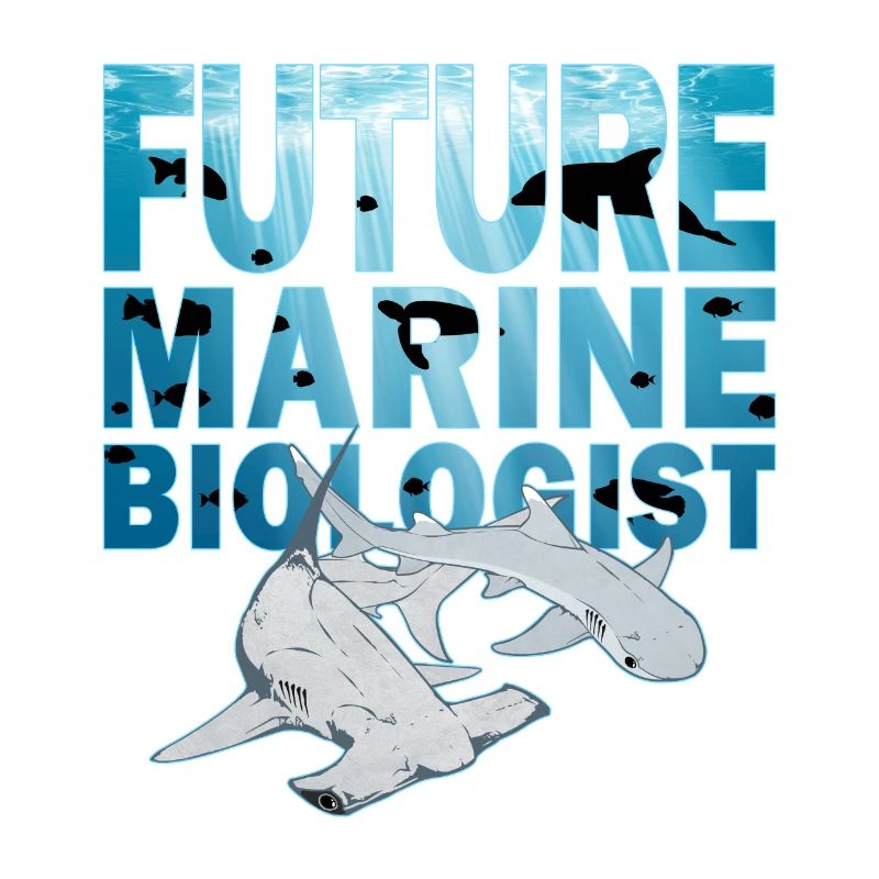 Requin-marteau à pointe blanche