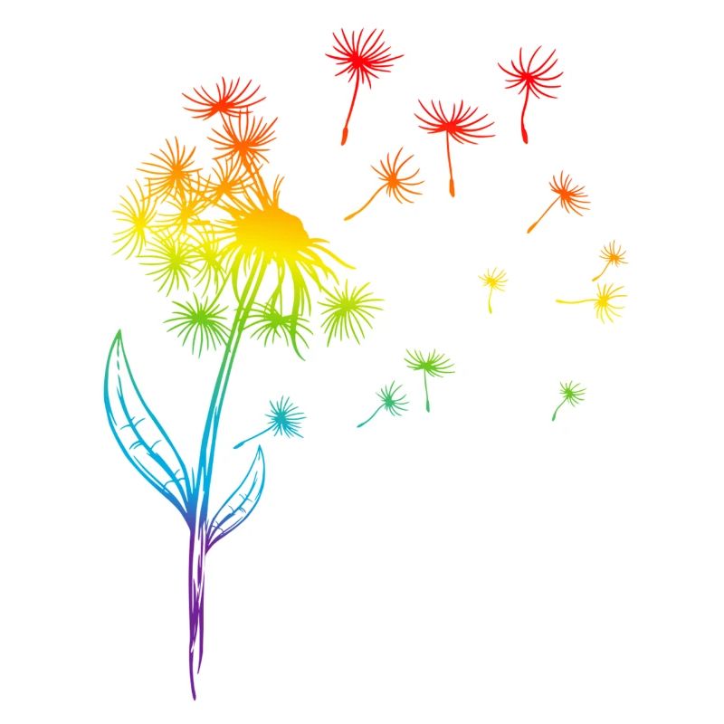 Pusteblume Löwenzahn Regenbogen Pflanze