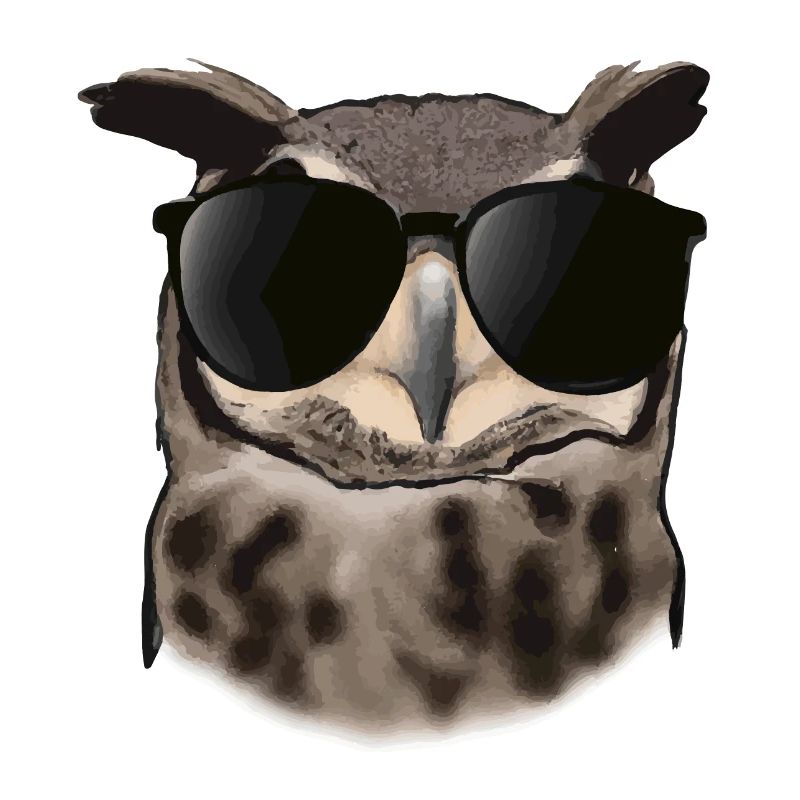 Eule mit Sonnenbrille Geschenkidee