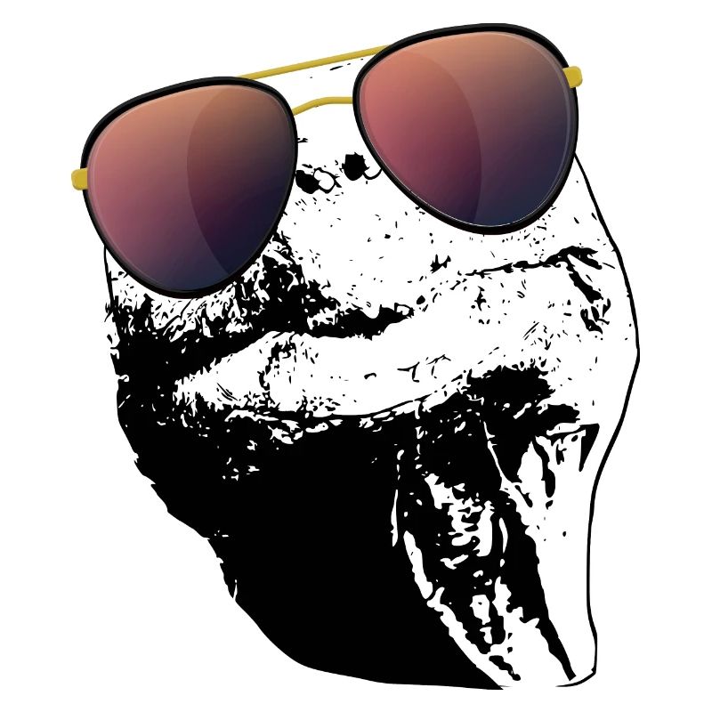 Turtle Sunglasses Turtles black white