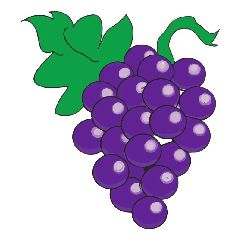 Grape Grapes Wine Illustration Gift Idea