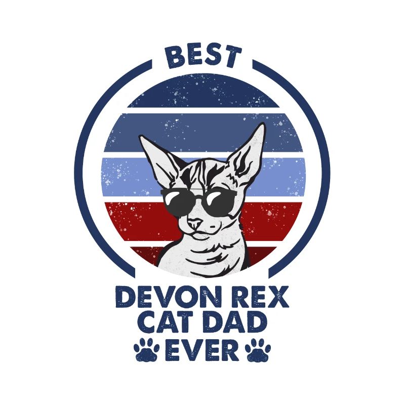 Papa chat - Devon Rex Chat