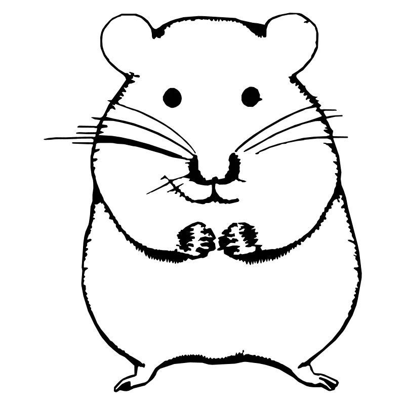 Hamster cute animal rodent animals pet vector 8