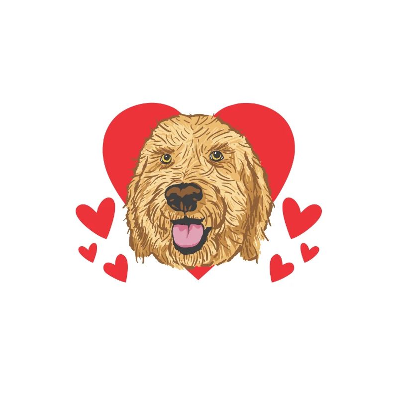 Mon Goldendoodle est ma Saint-Valentin