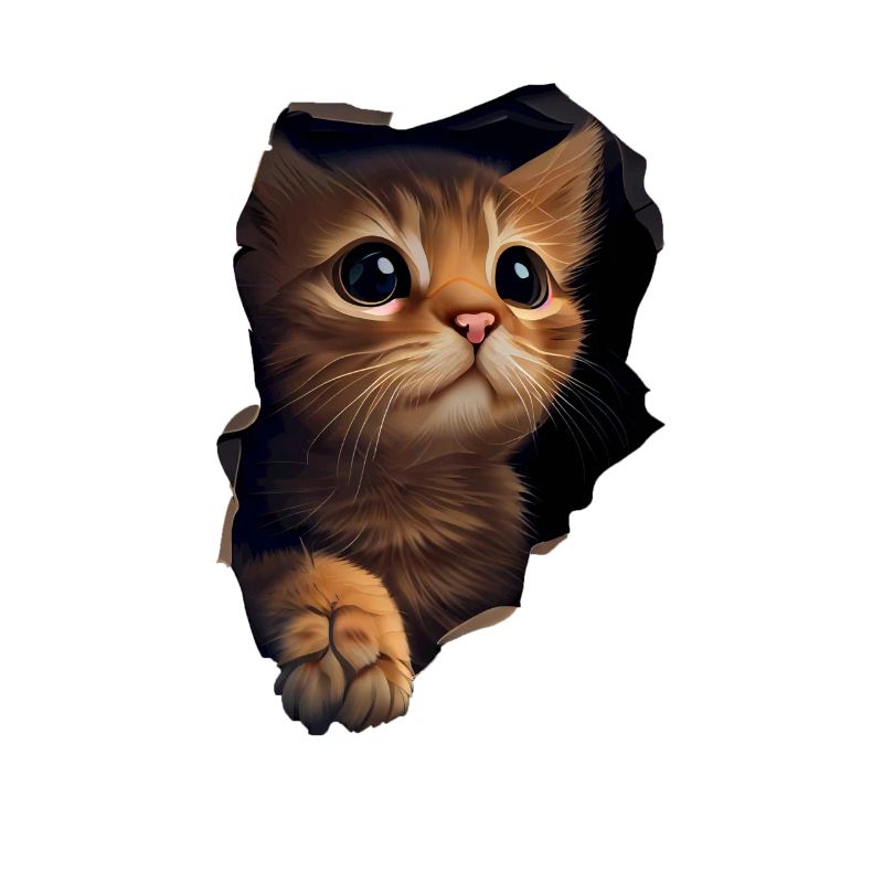 Chat mignon Chaton Craqué Chat Amants Chats Chats