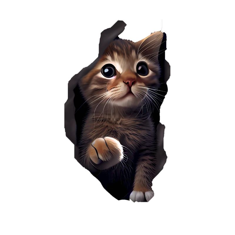 Chat mignon Chaton Craqué Chat Amants Chats Chats