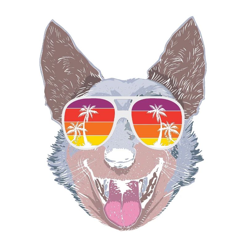 Australian Cattle Dog