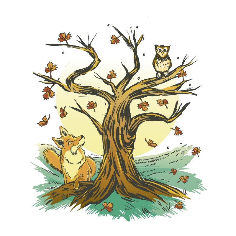 Fuchs Eule Wald Camping Tiere